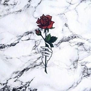 Meet your Posher, Alisa